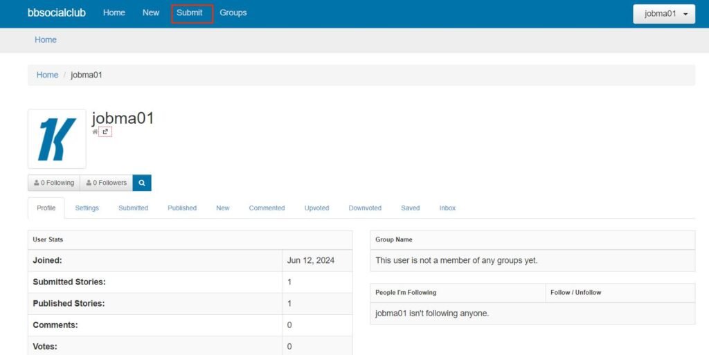 Screenshot of a user profile page with the 'Submit' button highlighted, demonstrating Step 3 of submitting content after profile creation.