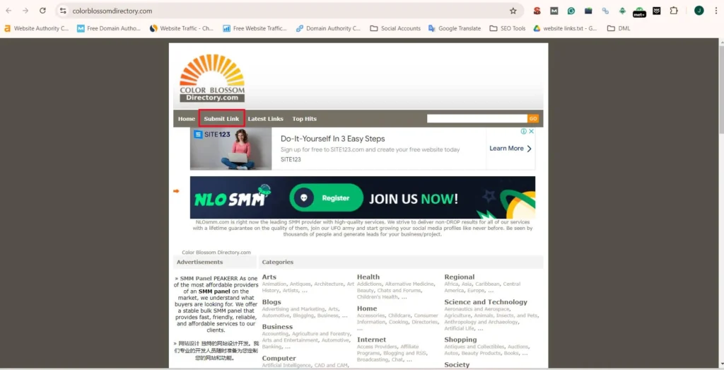 Color Blossom Directory homepage displaying categories like Arts, Blogs, Business, and Health, with options to submit a link and view the latest listings.